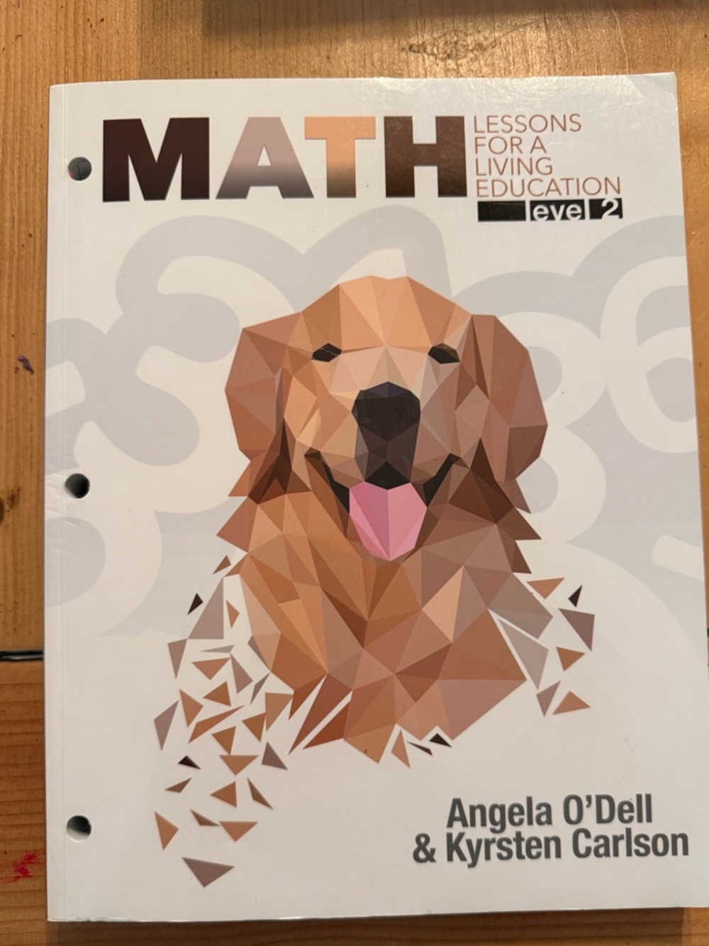 Masterbooks Math Level 2
